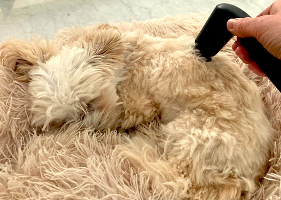 Schallwellen-Gerät mit mechanischer Vibrationen